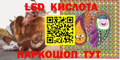 гашик Краснодар