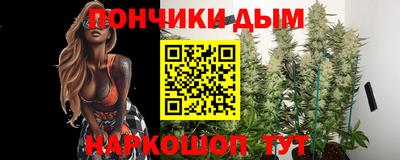 крисы Краснознаменск