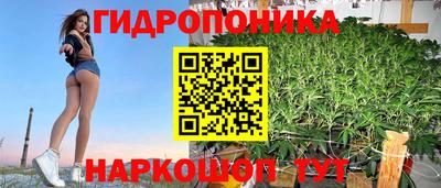 крисы Краснознаменск