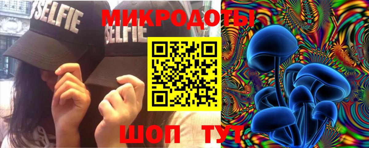 Псилоцибиновые грибы Psilocybe Ефремов
